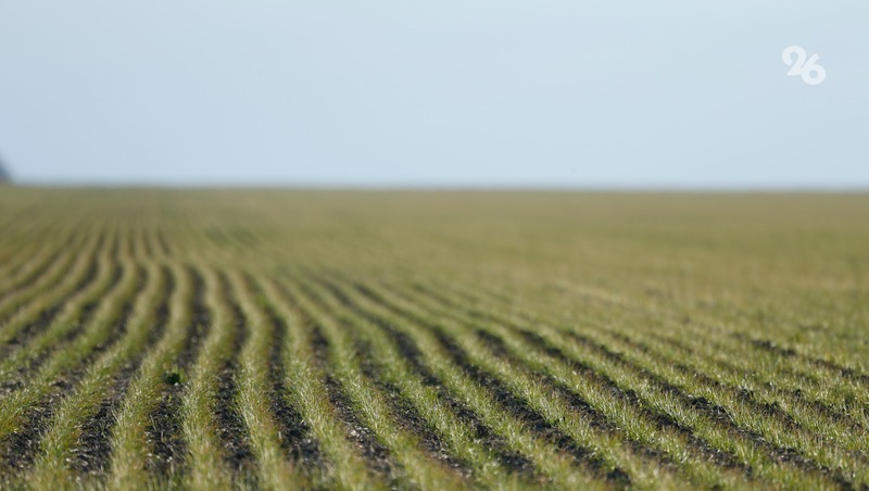 Фото: ИА «Победа26»