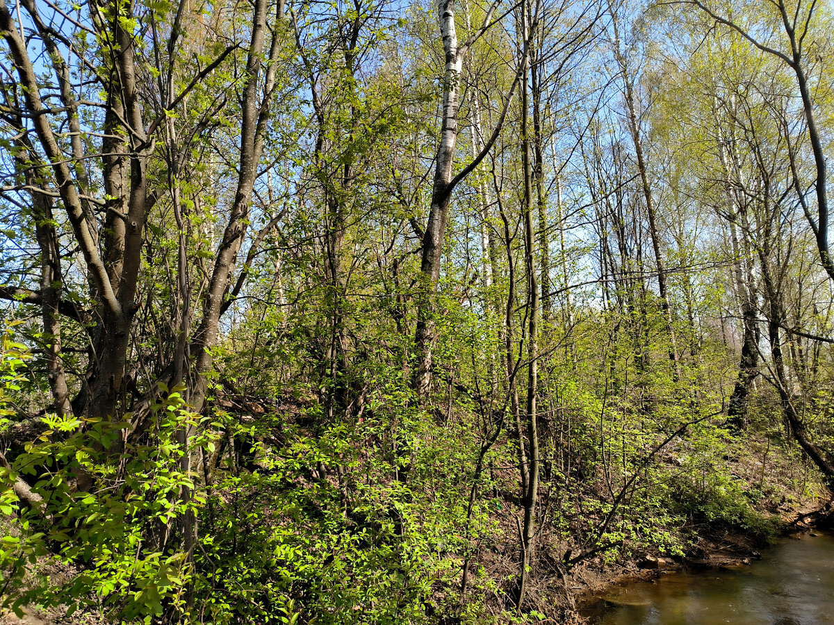 Фото: Maksim Konstantinov/Global Look Press