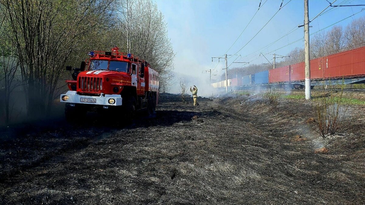 Удмуртия может покинуть зону особого риска возникновения природных пожаров  | udm-info.ru | Дзен