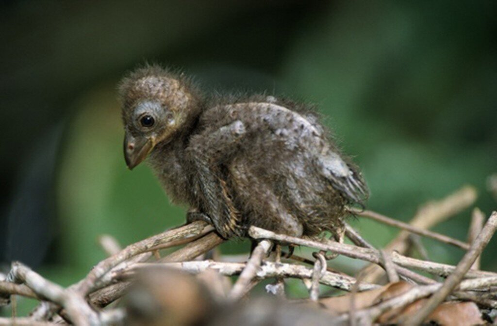 ��������: ekogradmoscow.ru