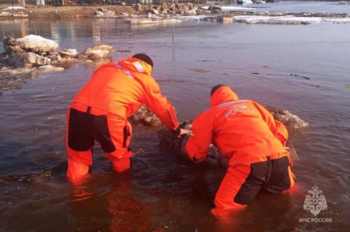    В селе Преображенка вода поднялся выше критической отметки и составила 980 сантиметров.