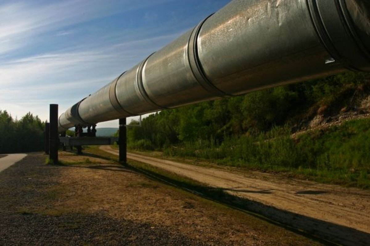    В ЕС предложили официально прекратить поставки нефти из РФ в Польшу и ФРГ