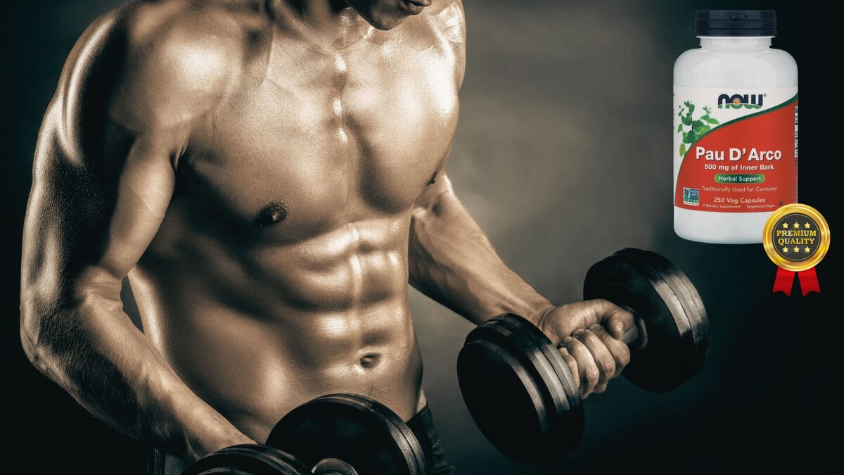 NOW Муравьиное дерево / Pau D ARCO 500 mg - 250 к.