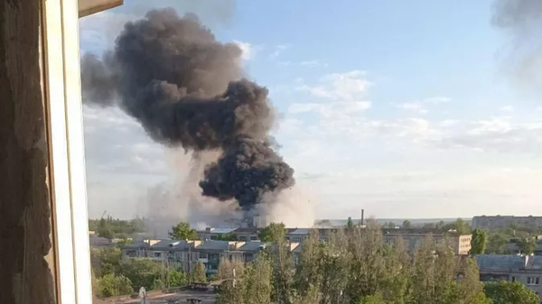    © Фото / предоставлено очевидцем