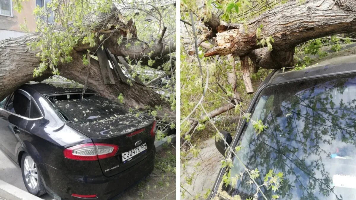 Фото: читатель НГС