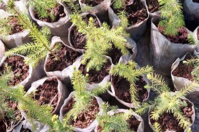 Фото: пресс-служба горадминистрации