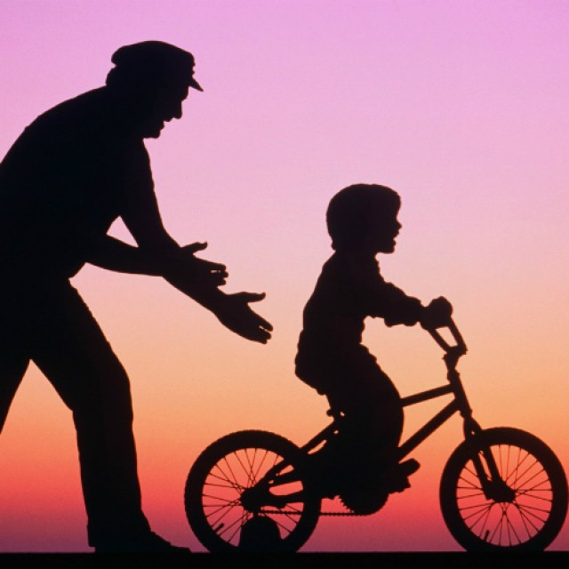 Источник фото - https://sportzoom.ru/kak-nauchitsya-katatsya-na-velosipede/