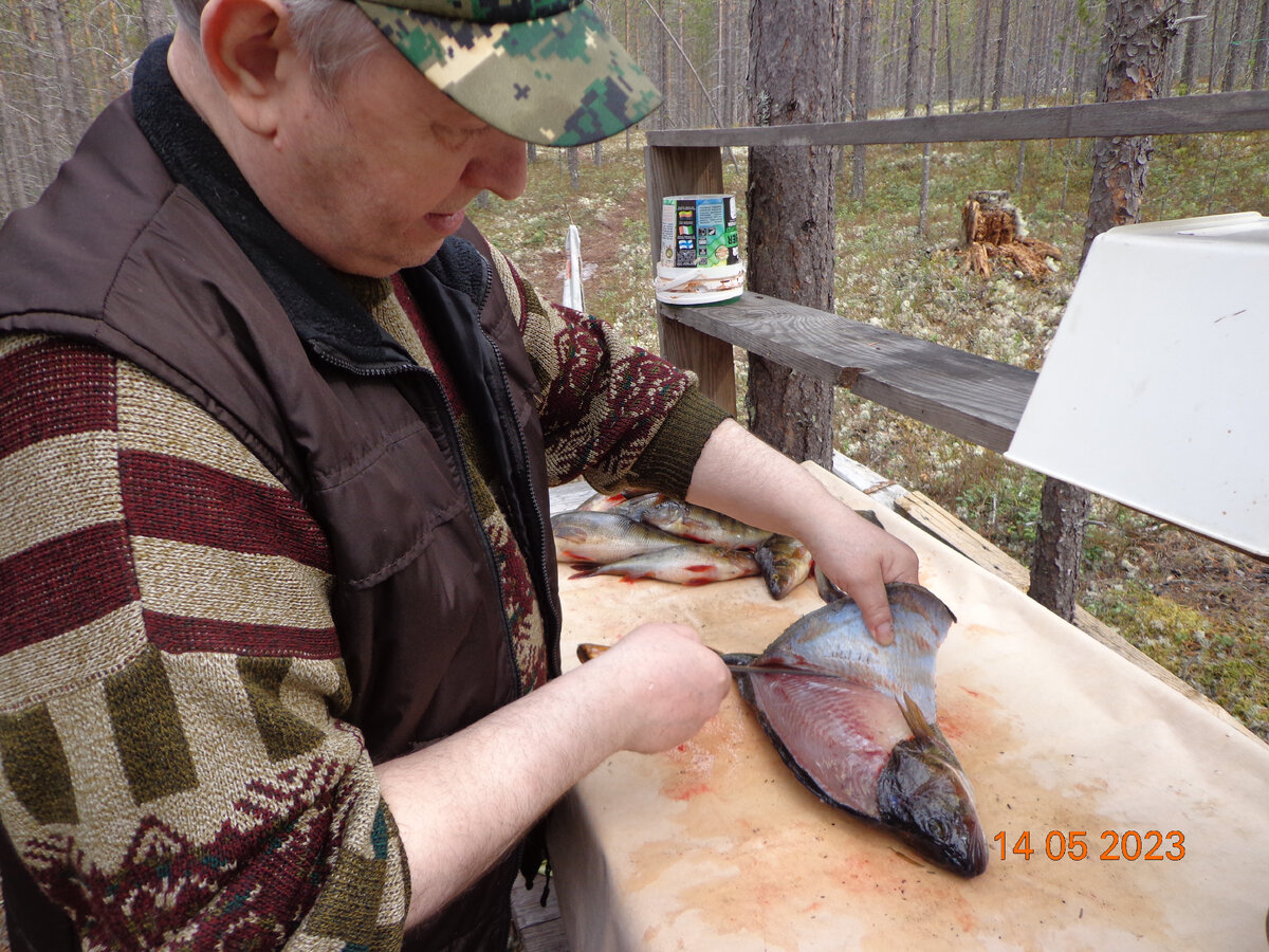 выставка лапландия 2023. саамская деревня мурманск. выставка лапландия 2023. выставка лапландия 2023. дикая лапландия.