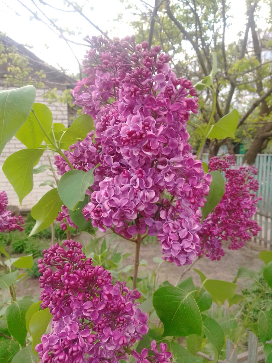 Привет, Алёша. Тамбовский рассвет с туманом
