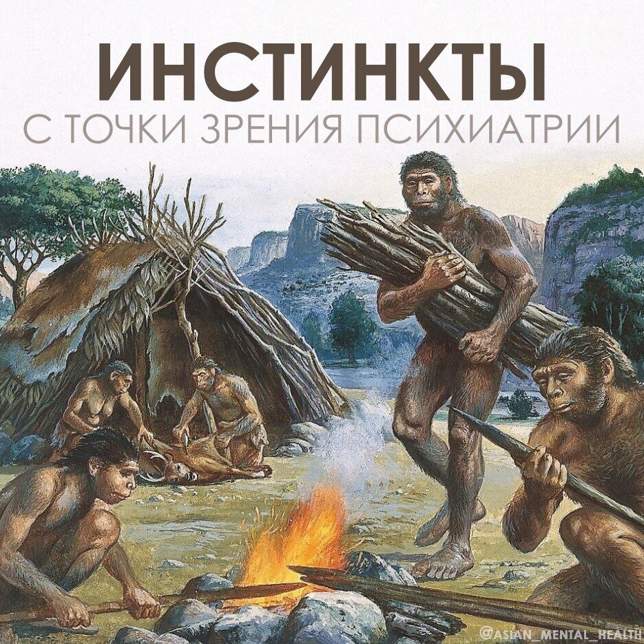 Какие бывают нарушения инстинктов и можно ли их контролировать | ПСИХ ...