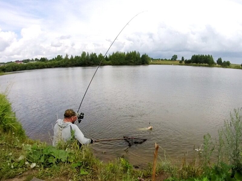 Ловля на платнике. Карп