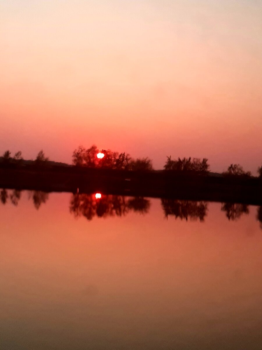 Краски природы