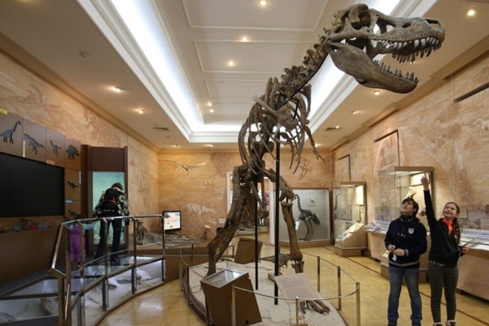    На ночь музеев с 18.30 до 23.00 на территории Казанского Кремля подготовили тематические экскурсии. Фото: Музей естественной истории Татарстана