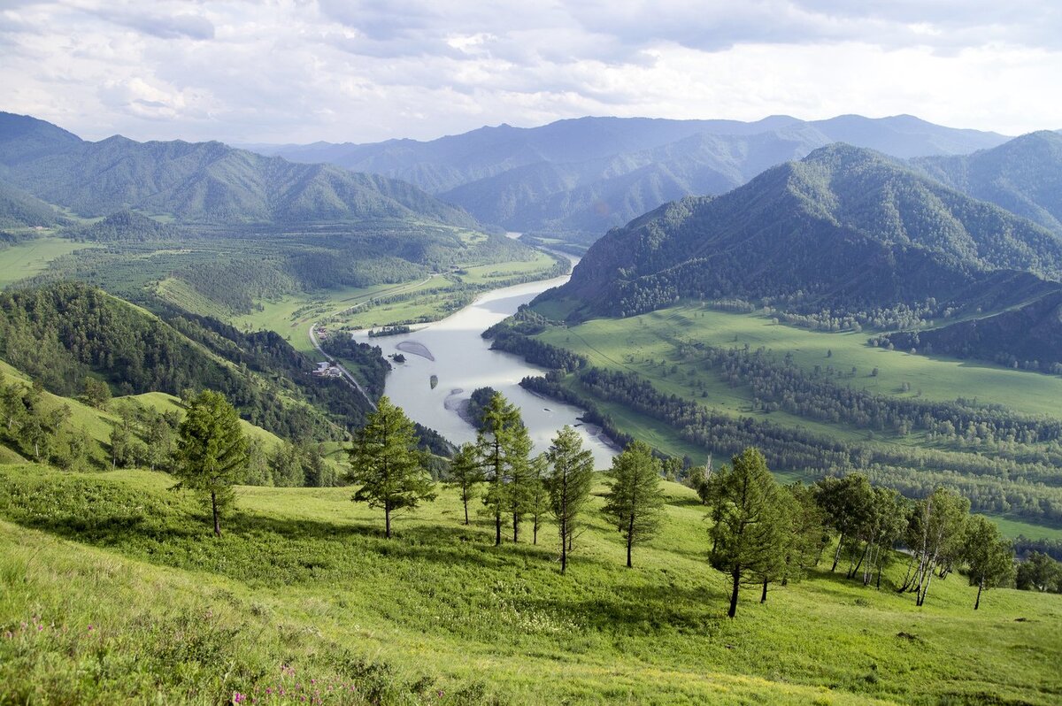 Алтайский край горный Алтай