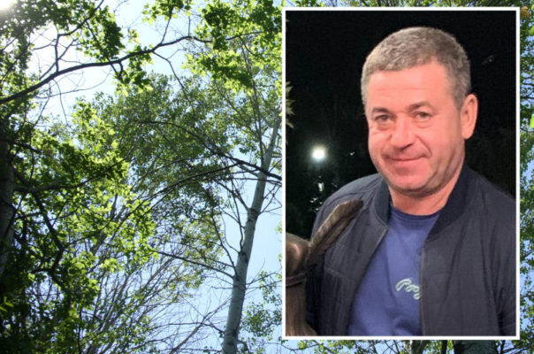    Вячеслав Каляндра