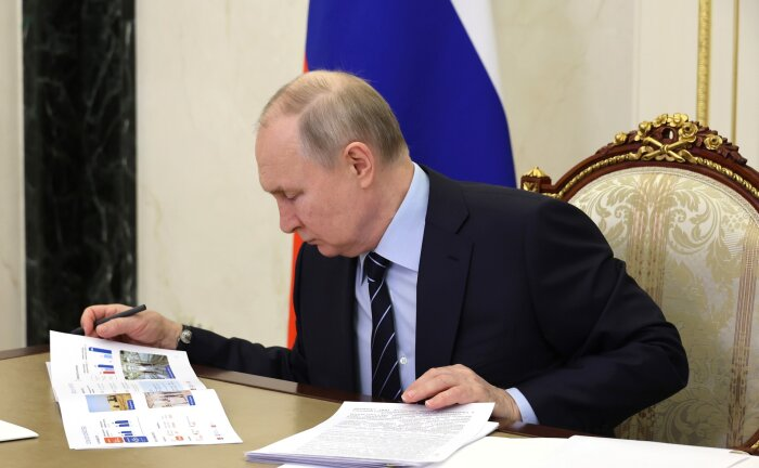 Фото: сайт президента России. Путин держит на контроле развитие объединенной ТОР в Приамурье