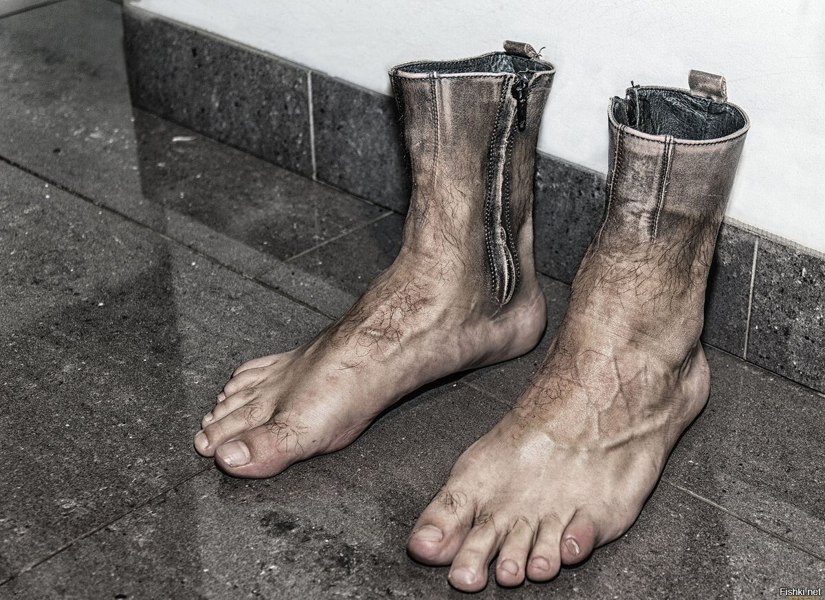 Фото из открытых источников