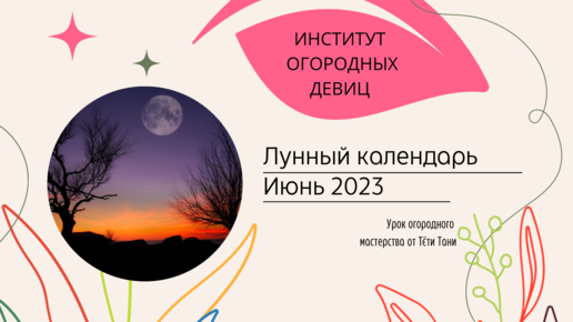 Лунный посевной июнь 2023 г. Сеем семенами.