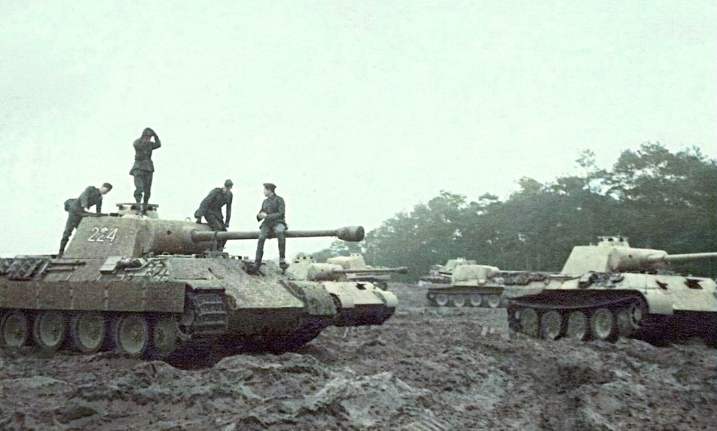 "Пантеры" 39-го отдельного танкового полка вермахта (дивизия "Великая Германия"), перед началом Битвы на Курской дуге, 1943 г.