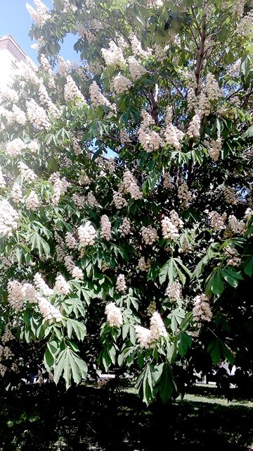 Авторское фото Татьяны Федотовой