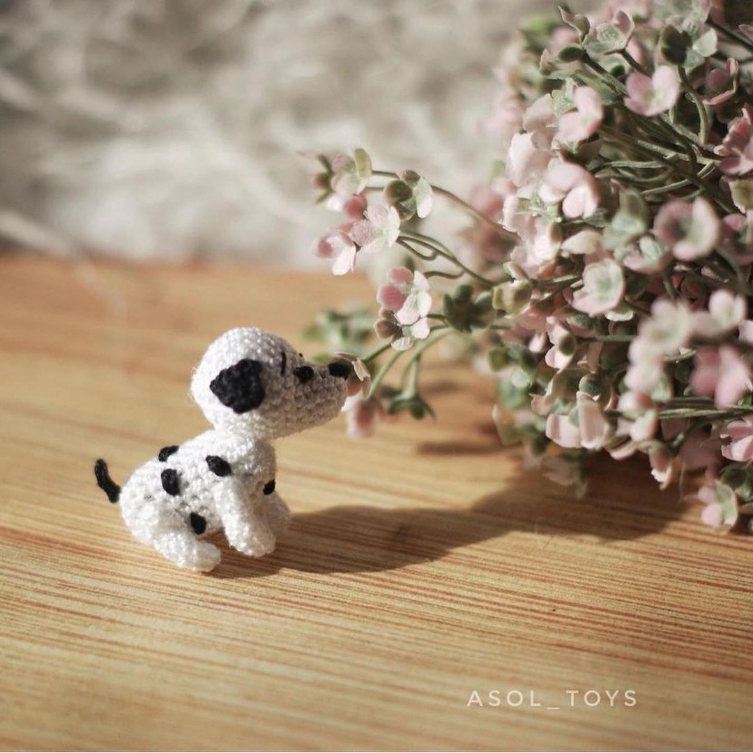 ��������� �������. �����, ����� � �������. ���������� ��