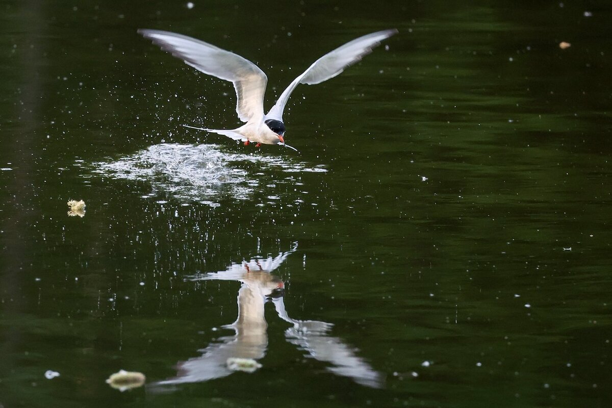 Фото: ТАСС / Валерий Шарифулин
