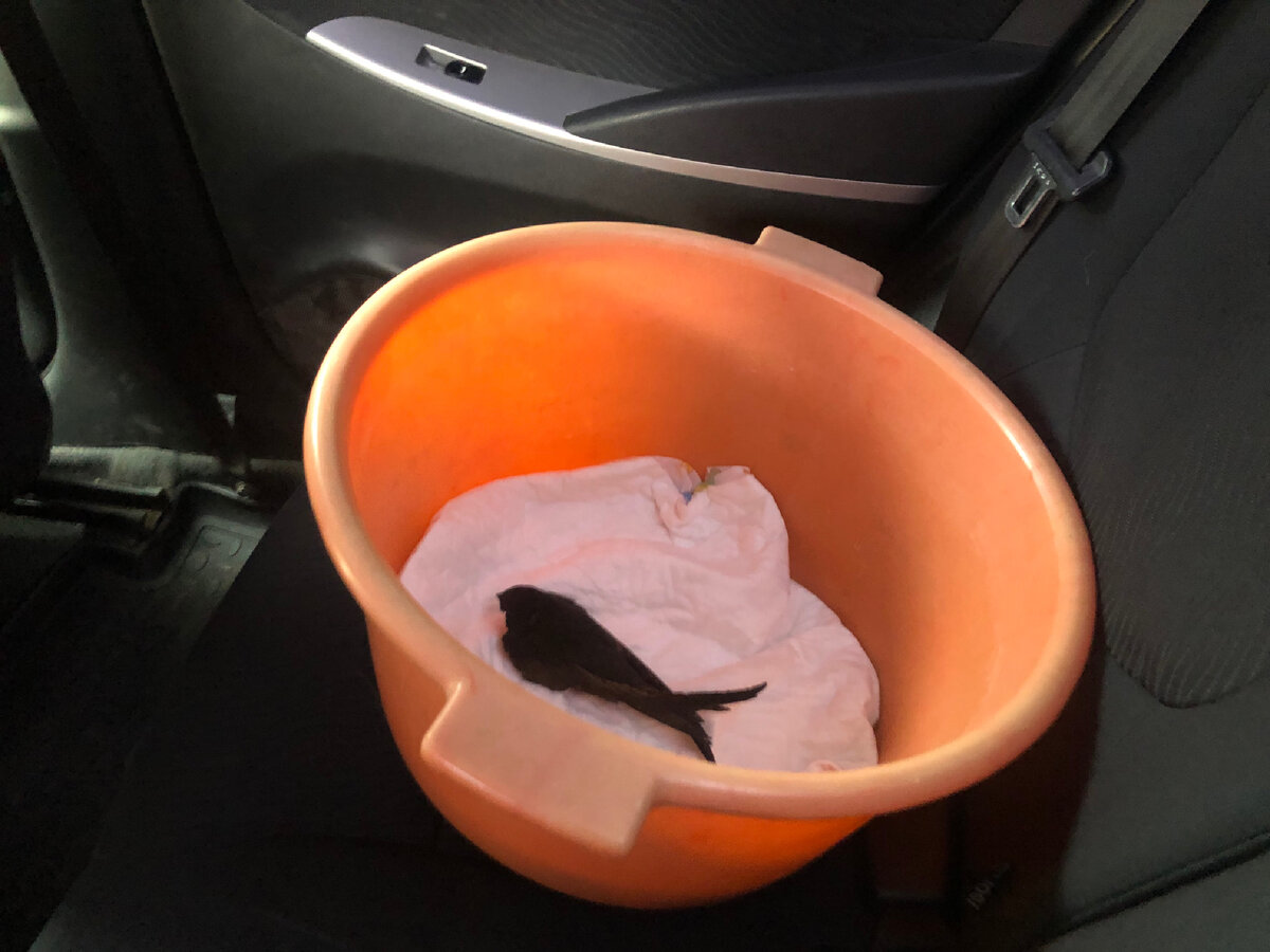 Едем к врачу