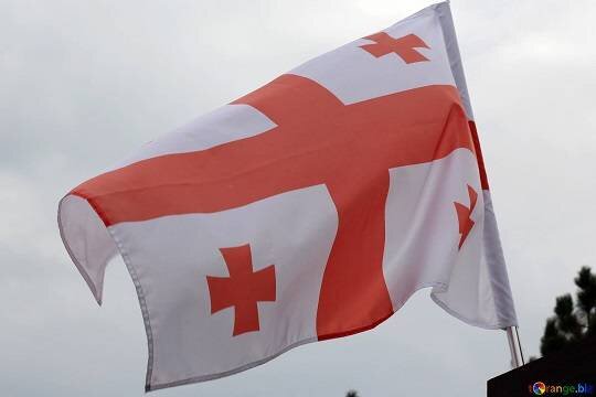    В Грузии объяснили отказ поддержать антироссийские санкции