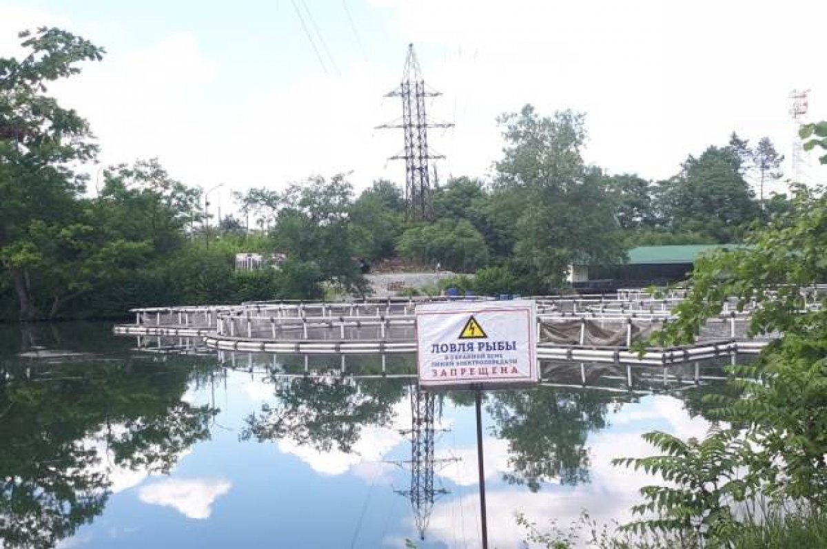    Энергетики призывают рыболовов соблюдать правила электробезопасности в СКФО