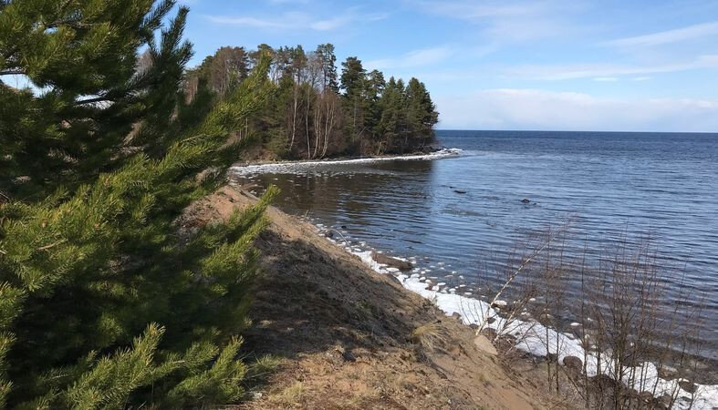 Онега участки. Каскесручей Карелия берег. Каскесручей Петрозаводск. Берег Онежского озера. Онежское озеро Петрозаводск.