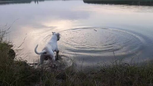 Отдых на природе, Адам купается в речке)))