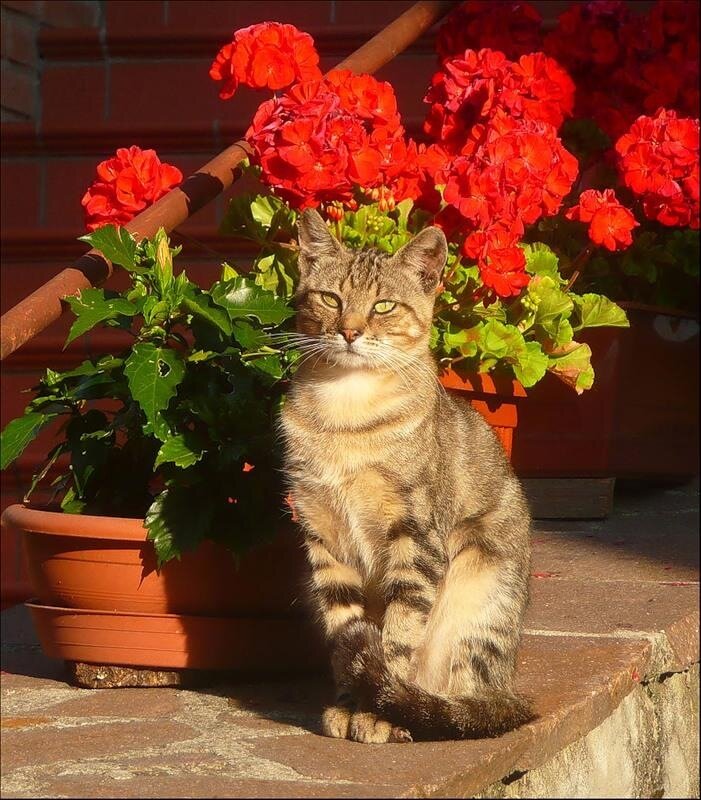 Источник: Яндекс картинки