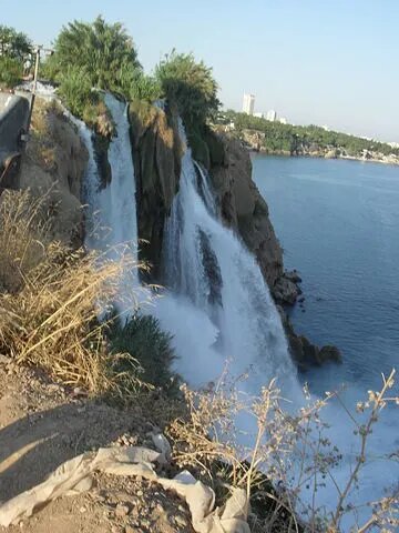 Фото автора.