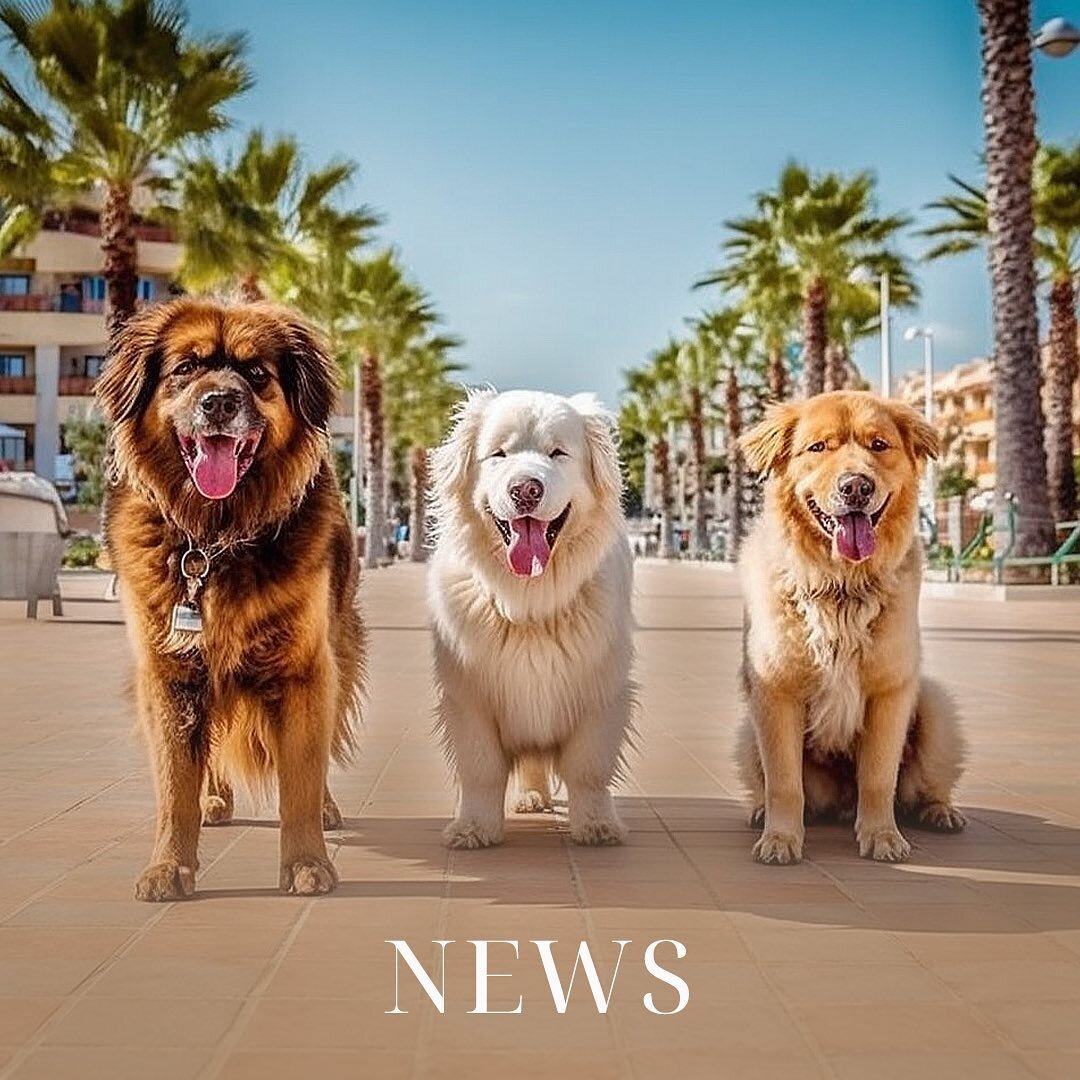 Новости Алании