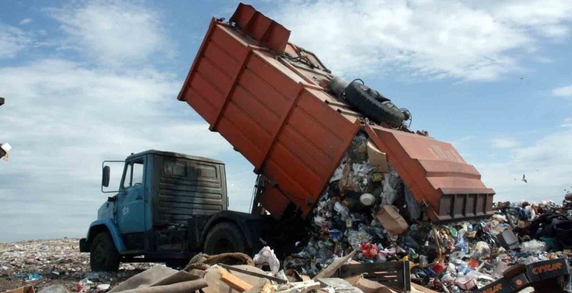    Фото: из открытых источников