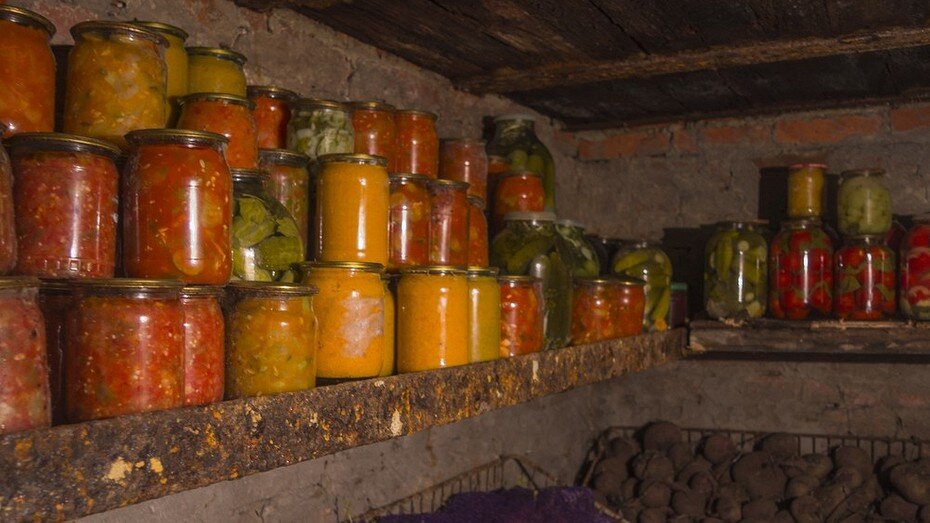 ShutterStock/Fotodom.ru 