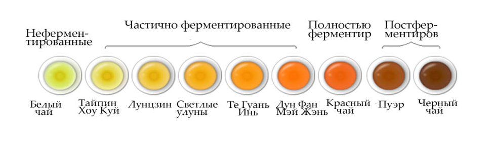 На иллюстрации представлен заваренный чай разной степени ферментации от зелёного до чёрного и пуэра (фото из открытых источников сети интернет)