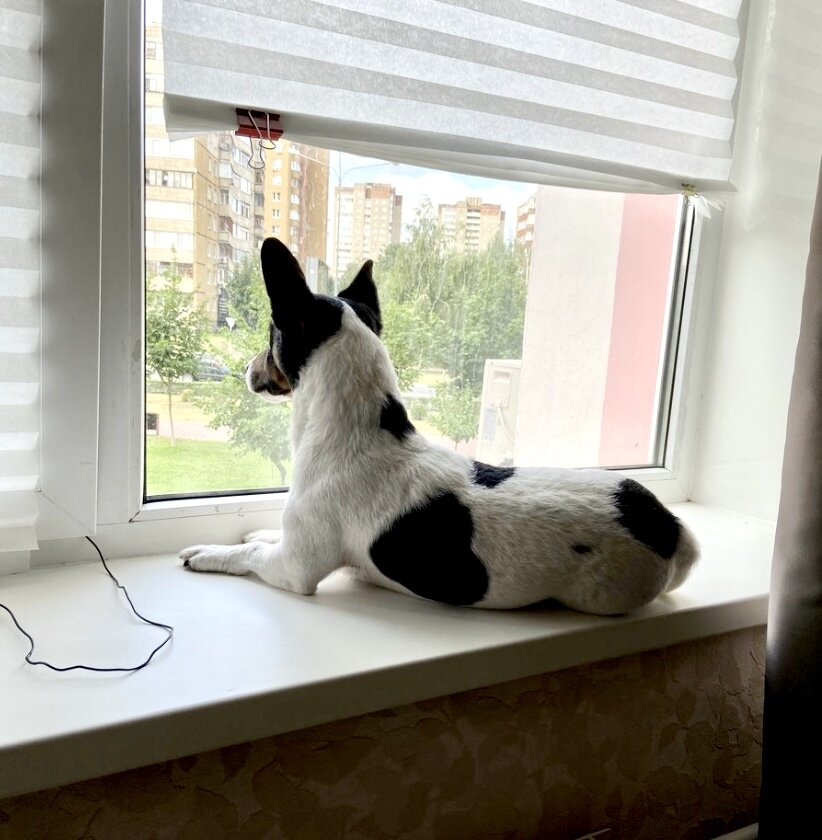 На боку сердечко 🧡 