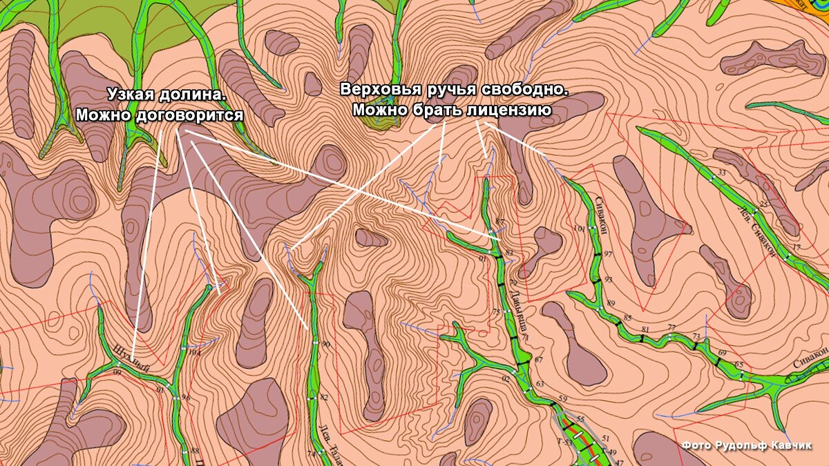 Лицензии отмечены красным цветом. Остались свободны верховья, а также, можно договорится на узкие ущелья, куда технику предприятия не загонит, а вы с проходнушкой запросто сможете поработать.