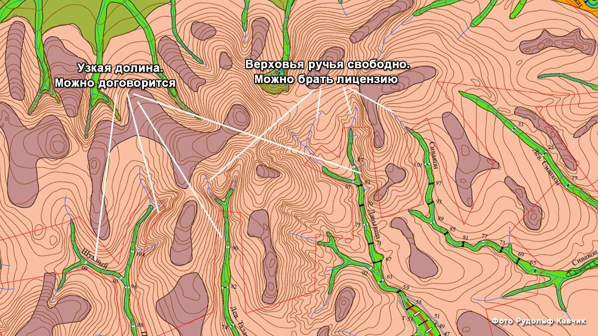 На какие участки можно взять лицензию для вольной добычи золота. Что  делать, если участок уже занят? | Рудольф Кавчик | Дзен