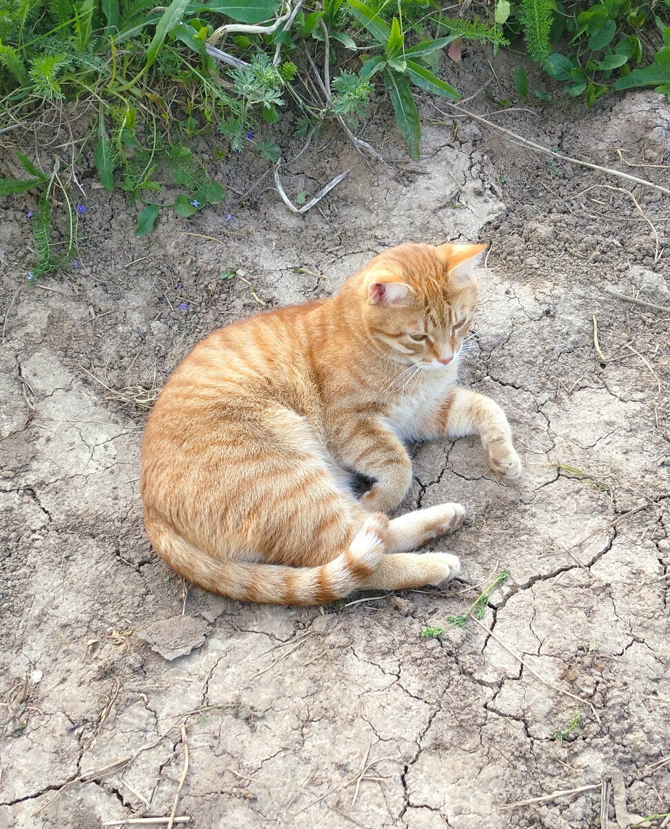 Личное фото.