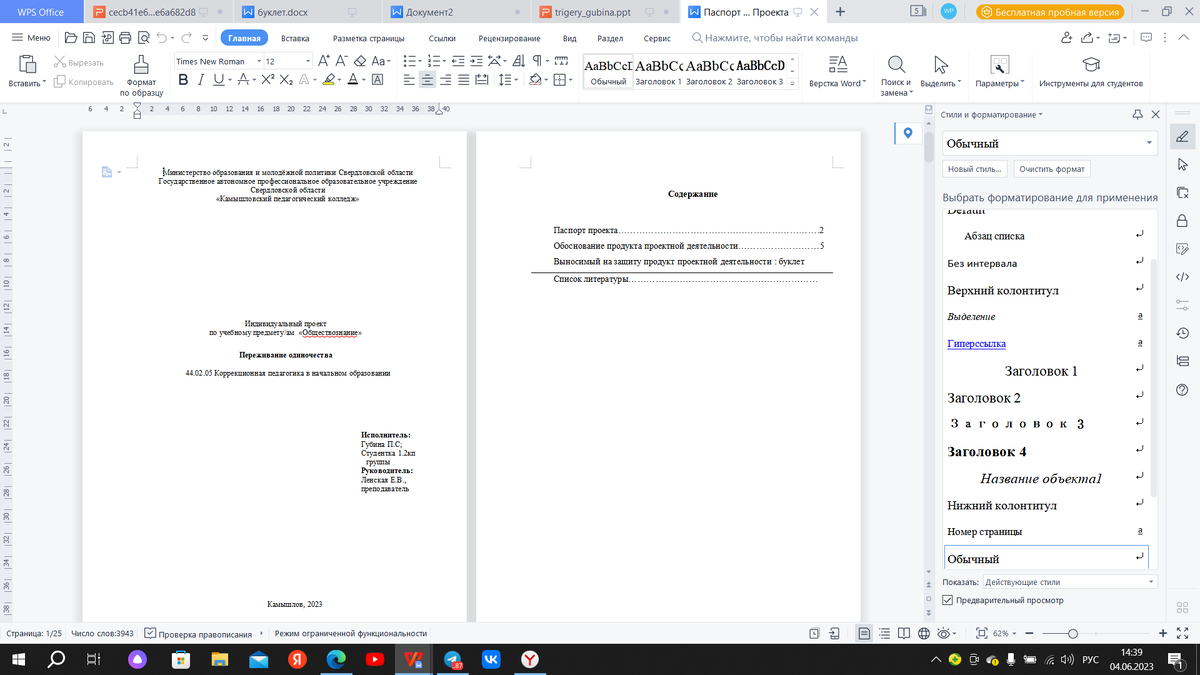 Паспорт проекта