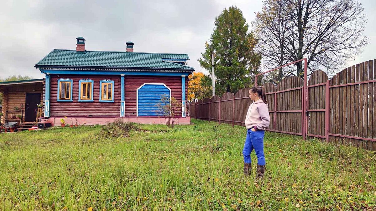 Живём возле леса. Какие дикие звери и птицы приходят на наш участок. |  Побег из мегаполиса | Дзен