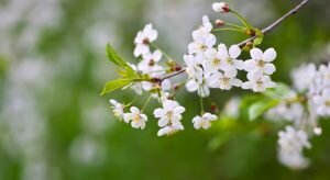    Фото: freepik.com Анна Полякова