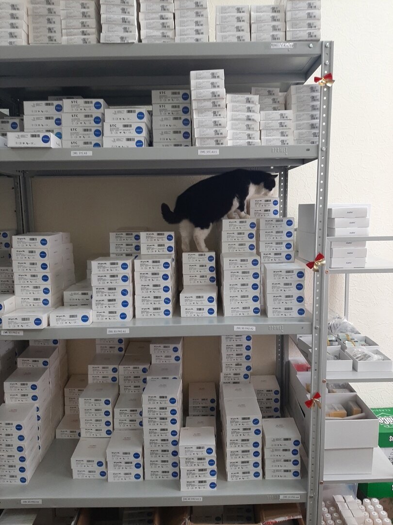 ���� �������� �� �������. 