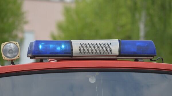    © Sputnik / Виктор Толочко