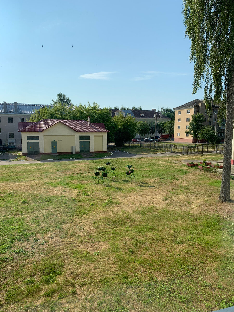 За окном