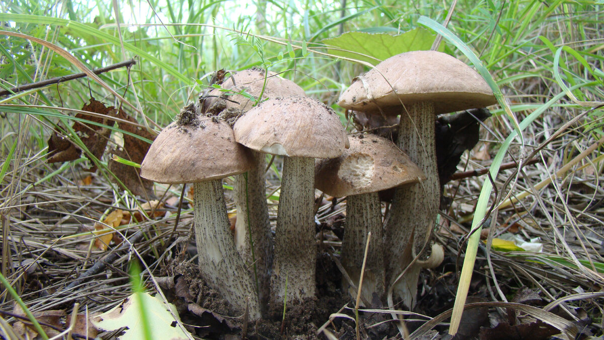 Фото Лидии Бам.