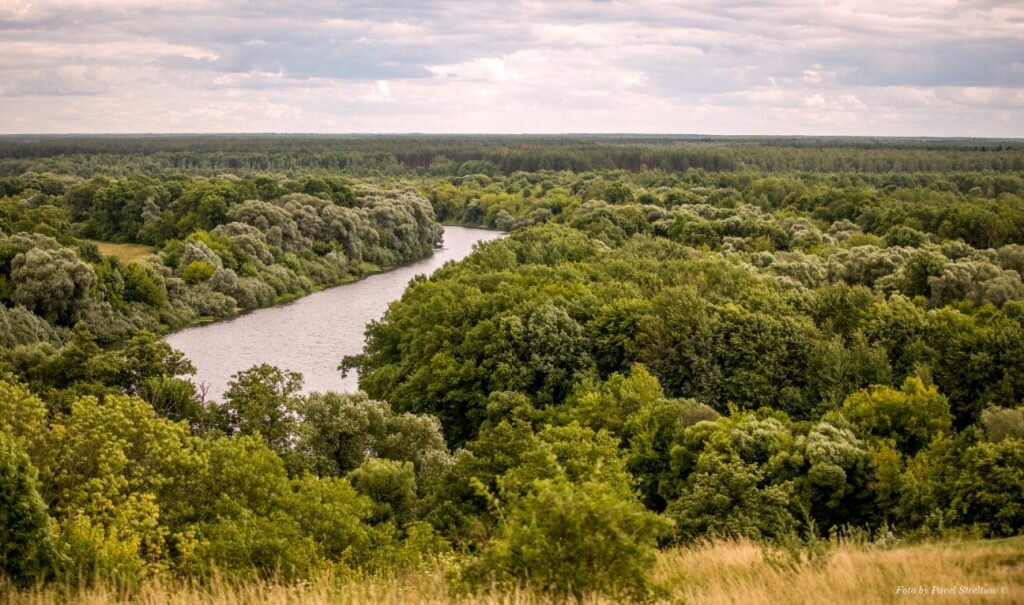 Погода брянская область июнь. Климат Брянска.