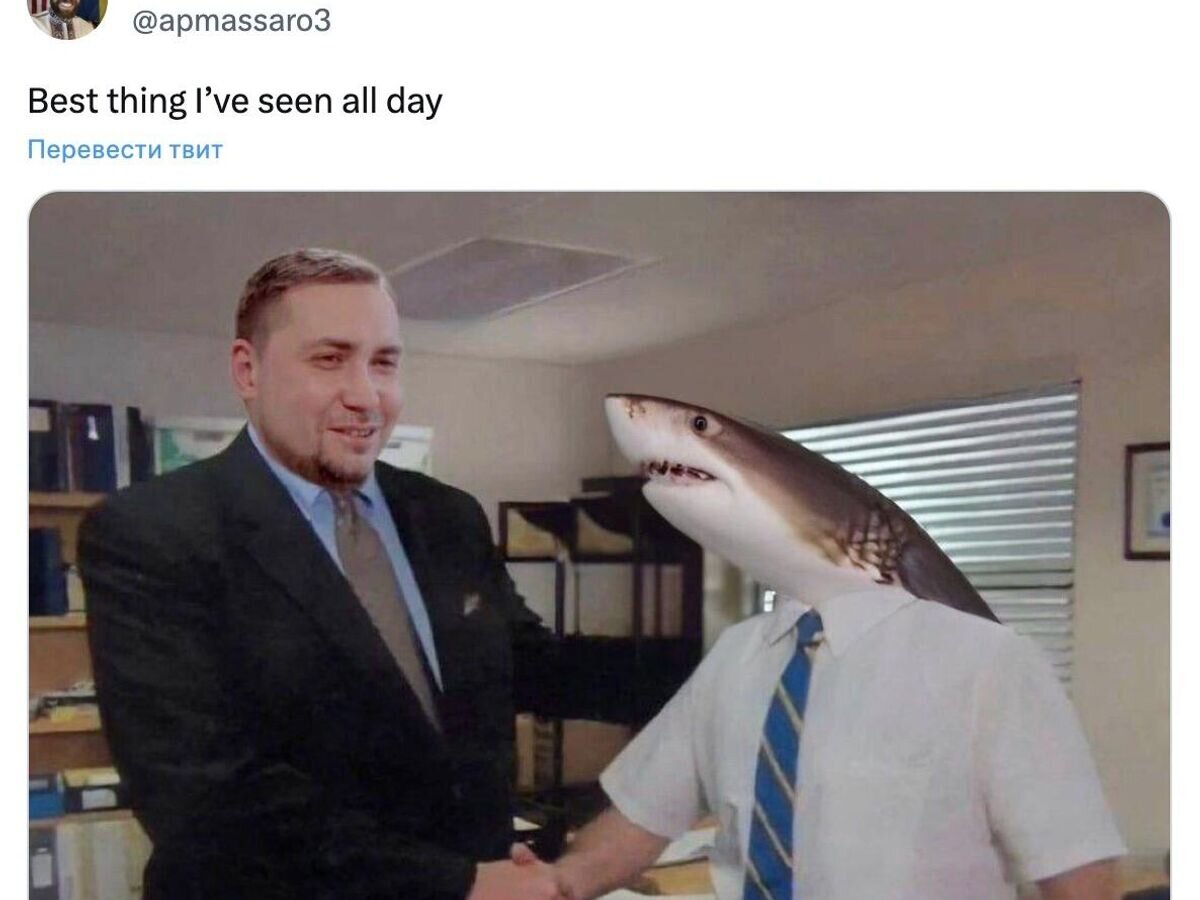    Пост американского чиновника про смерть россиянина в Египте© Paul Massaro/Twitter